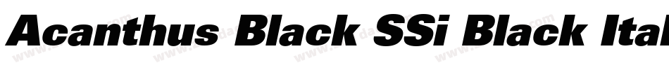 Acanthus Black SSi Black Italic字体转换